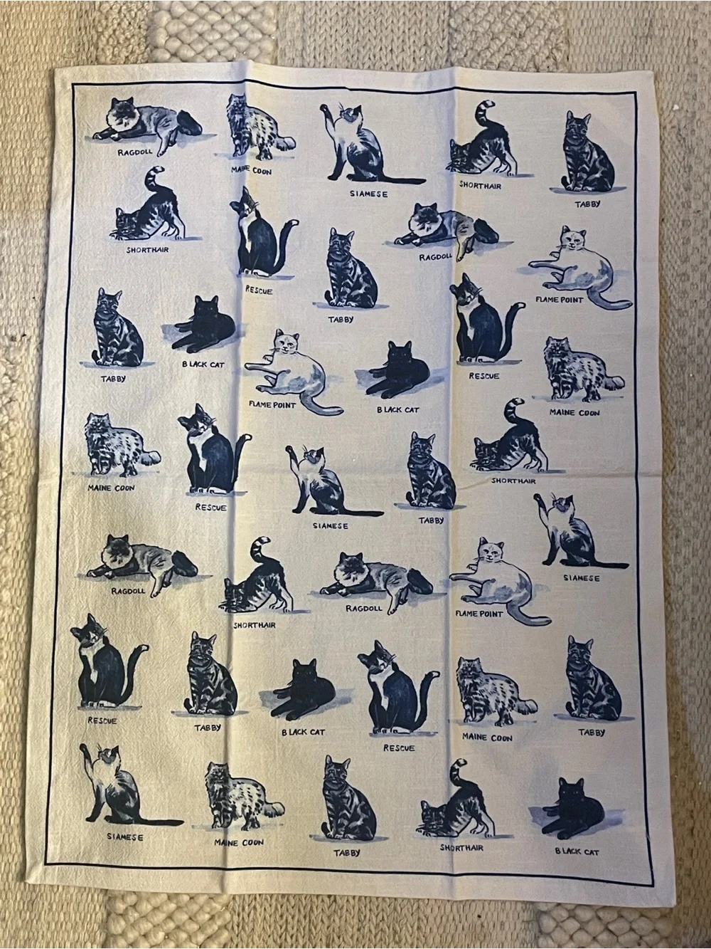 Cat Dish Towel by Molly Hatch for Anthropologie.